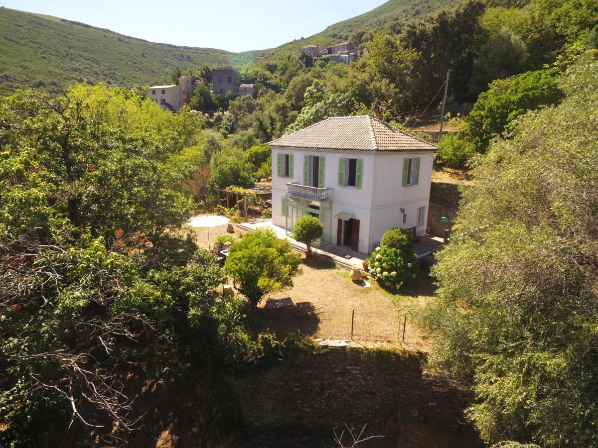 Aroma Green Villa Cagnano Extérieur photo