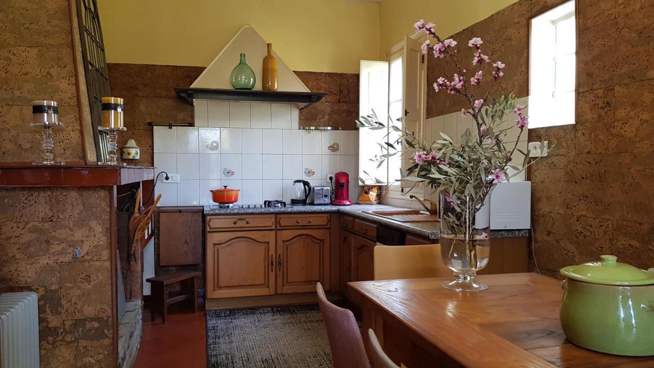 Aroma Green Villa Cagnano Extérieur photo