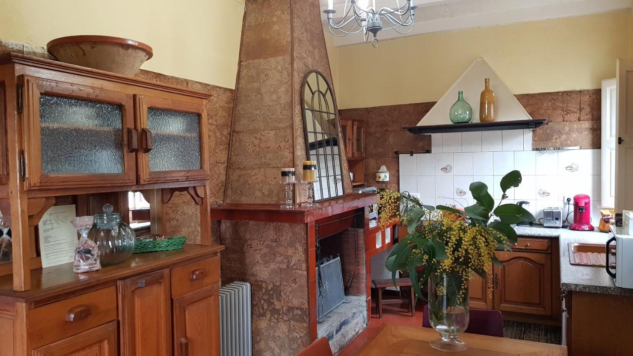 Aroma Green Villa Cagnano Extérieur photo